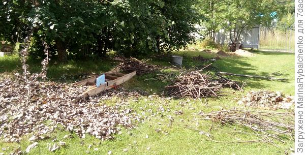 наши горы веток, на дрова и в компост.