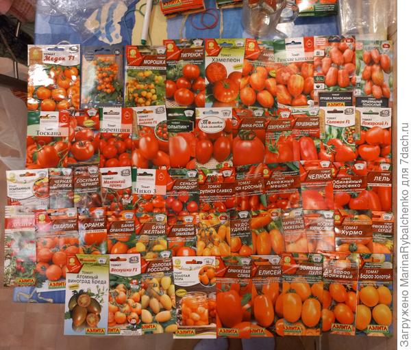 Аэлита заказ томатов.