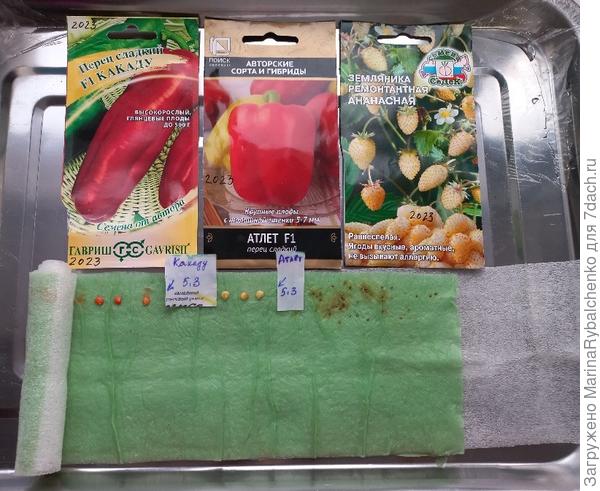 Земляника и перцы в улитке.