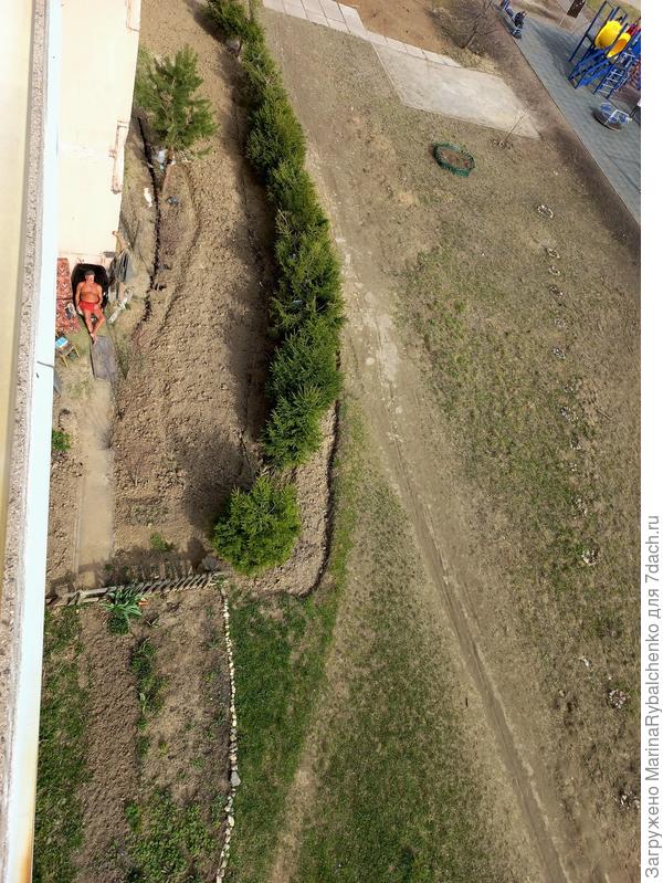 Огород под лоддиями.