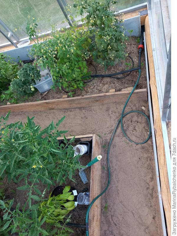 Разводка шланга еа кап.полив