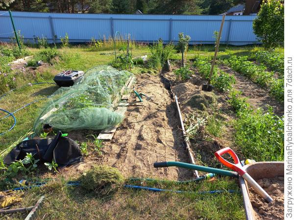 Грядка для дынь