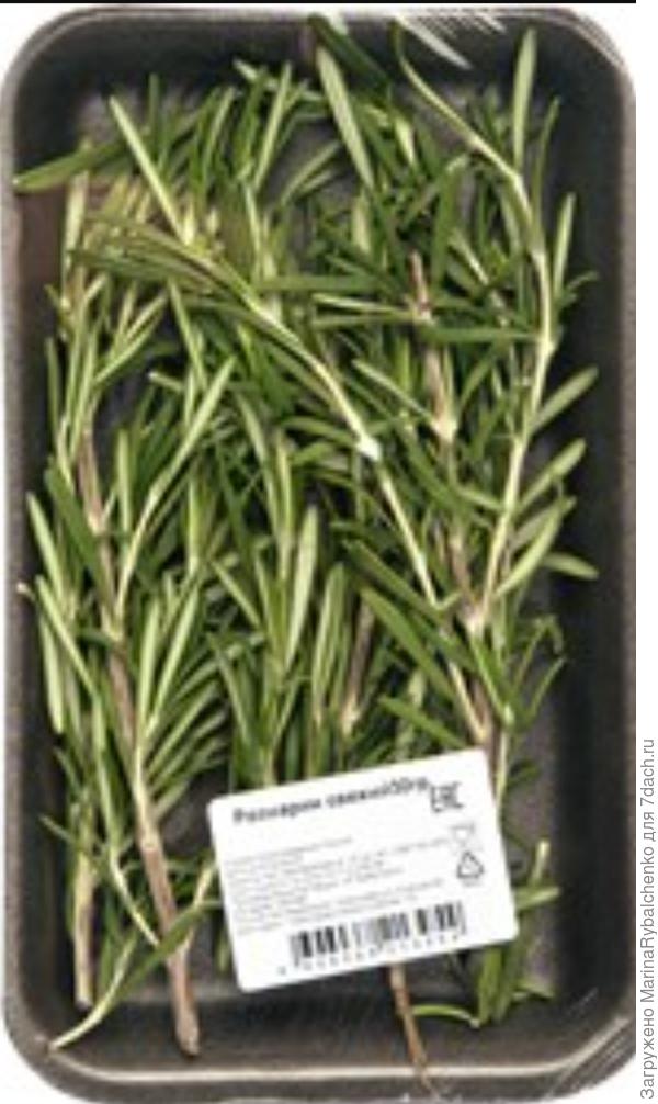 Розмарин зелень  свежая в супермаркете