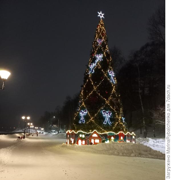 Ёлка на набережной, правее горка Соборная.