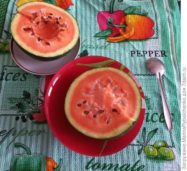 Арбуз свой 28 декабря