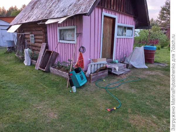 2. Томаты в ящиках