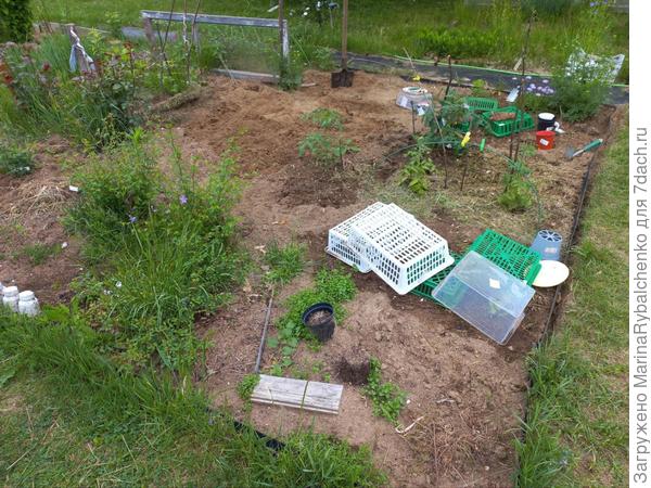 2. Вторая клумба (с розами), вид от теплицы .