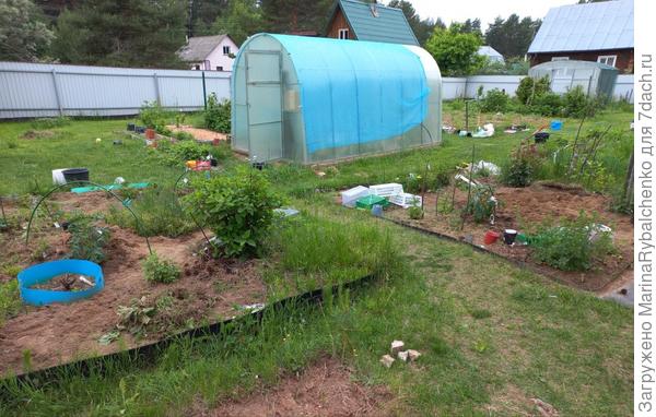 1. Общий вид, 2 клумбы.