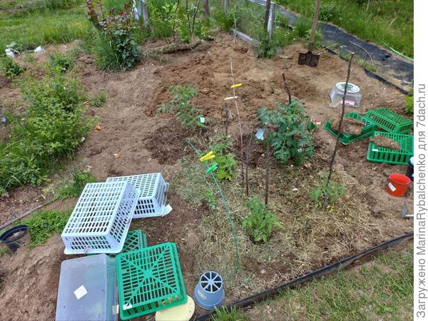 3. Вид на нее же, но с тропинки меж клумбами