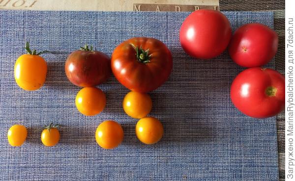 Фото без вспышки