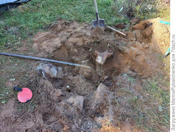 Яма из-под елового пня.