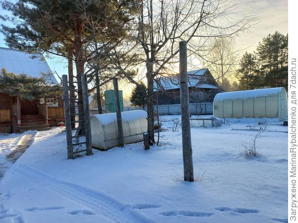 Зимний пейзаж. Снега мало, от силы 5 см. Дубак -20.