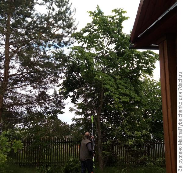 электр. высоторез