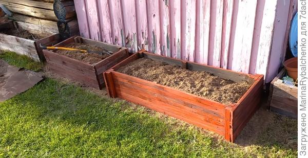 ящики для томатов