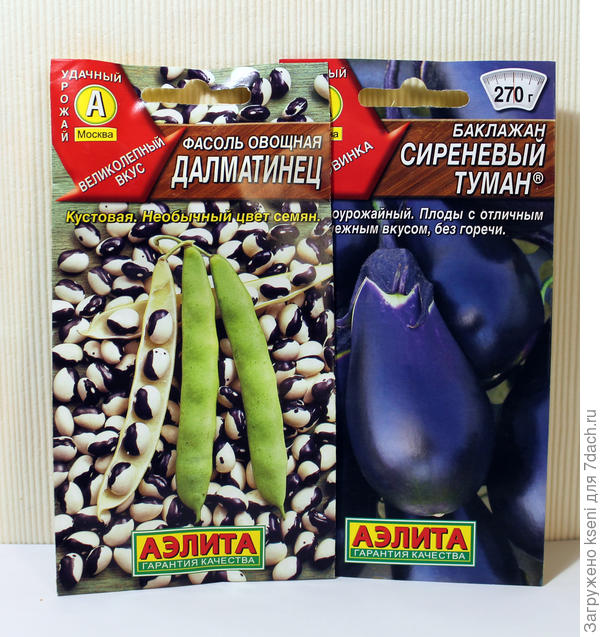 Претенденты на тестирование: фасоль Далматинец, баклажан Сиреневый туман