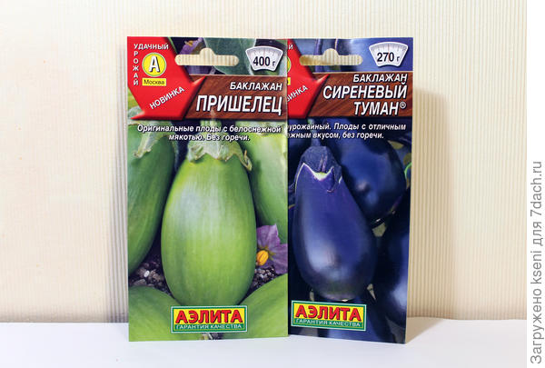 Баклажанчики от "Аэлиты"