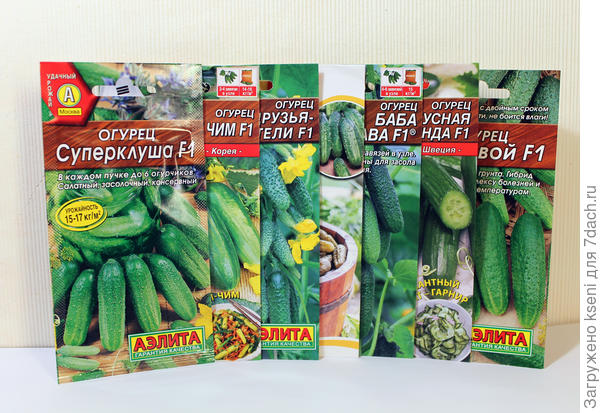 Огурчики от "Аэлиты"