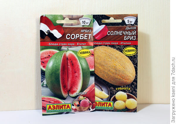 Дынька и арбузик от "Аэлиты"