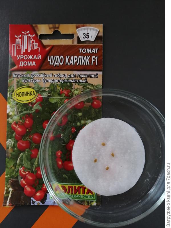 Томат