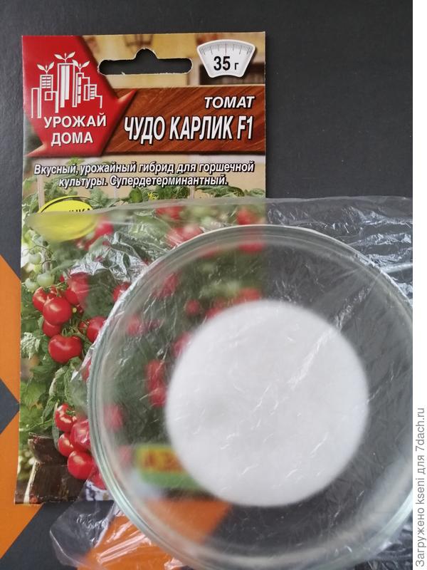 Томат