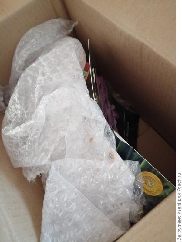 Упаковка посадочного материала