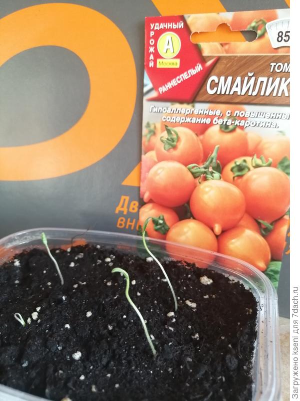 Томат Смайлик