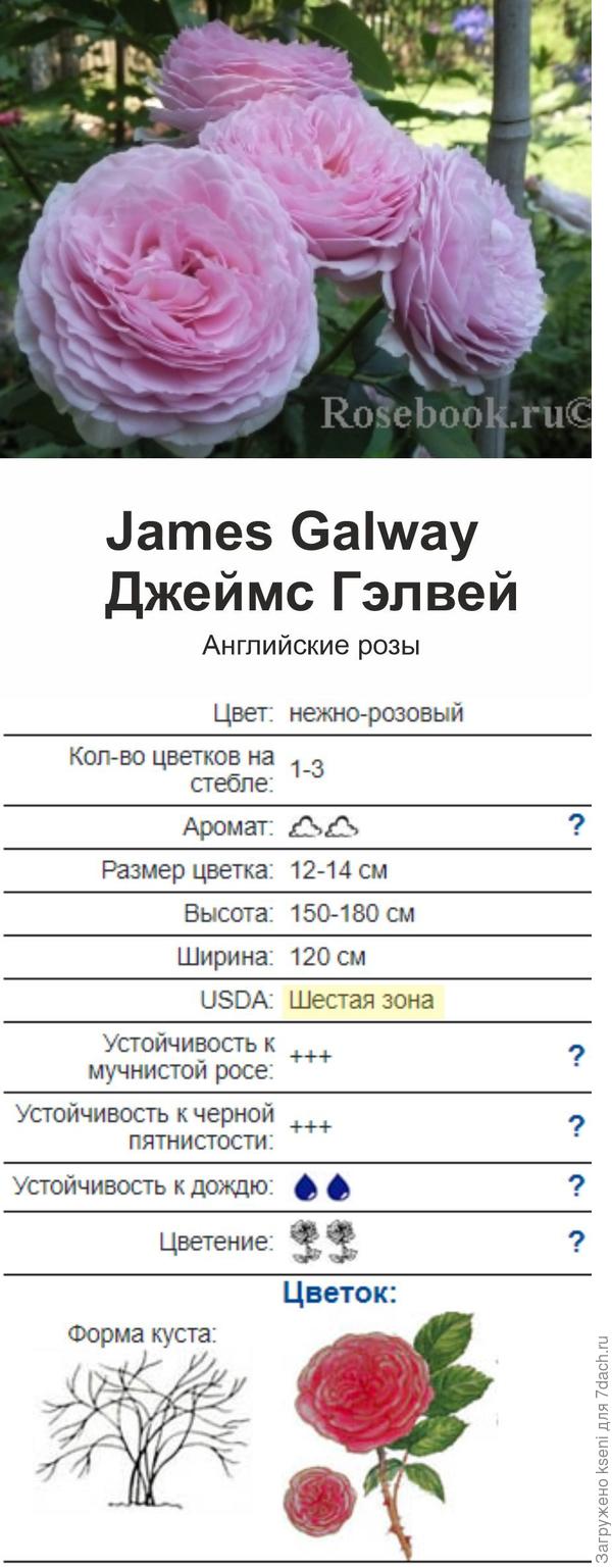 James Galway