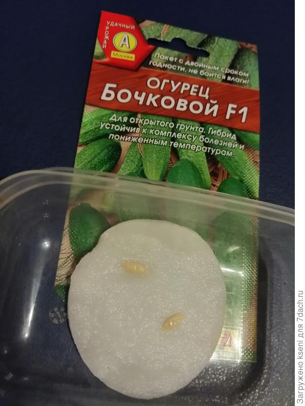 Огурец Бочковой