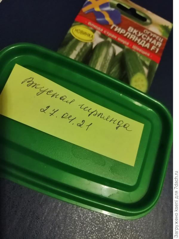 Огурец Вкусная гирлянда
