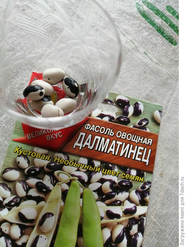 Замачивание