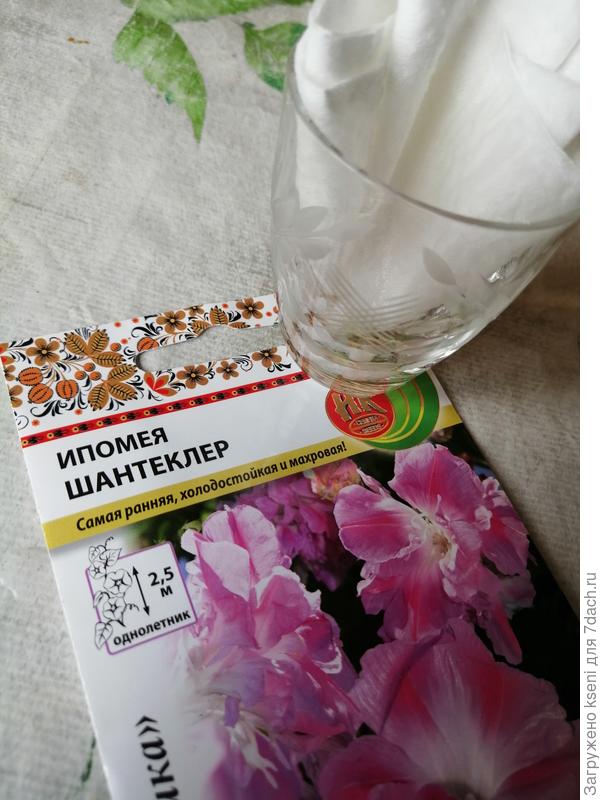 Замачивание