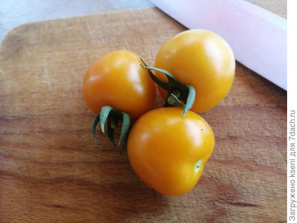 Первые плоды