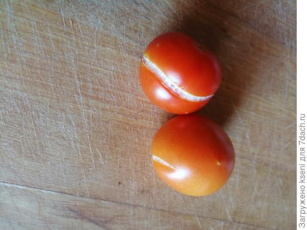 Первый урожай