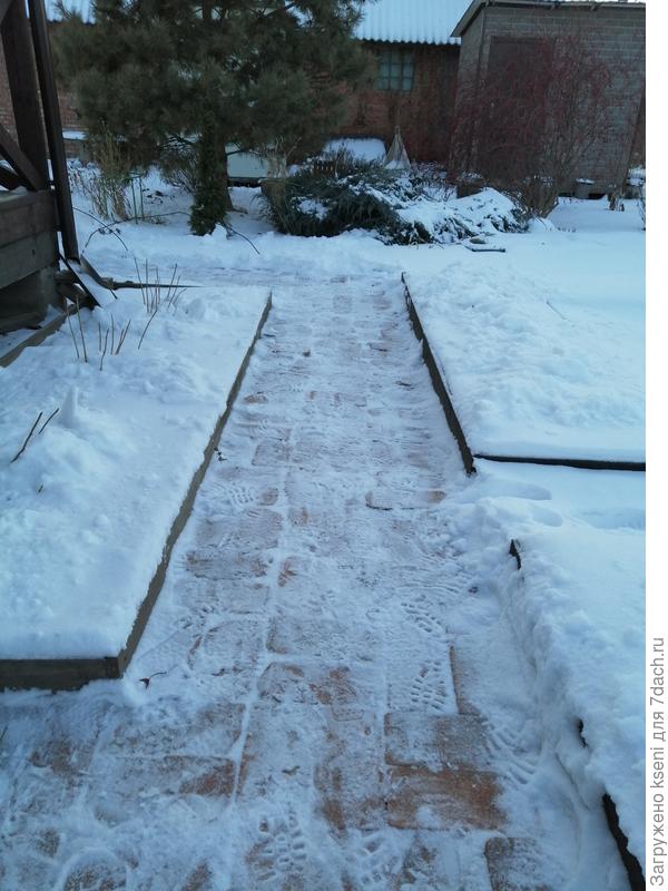 Мои грядки в начале зимы