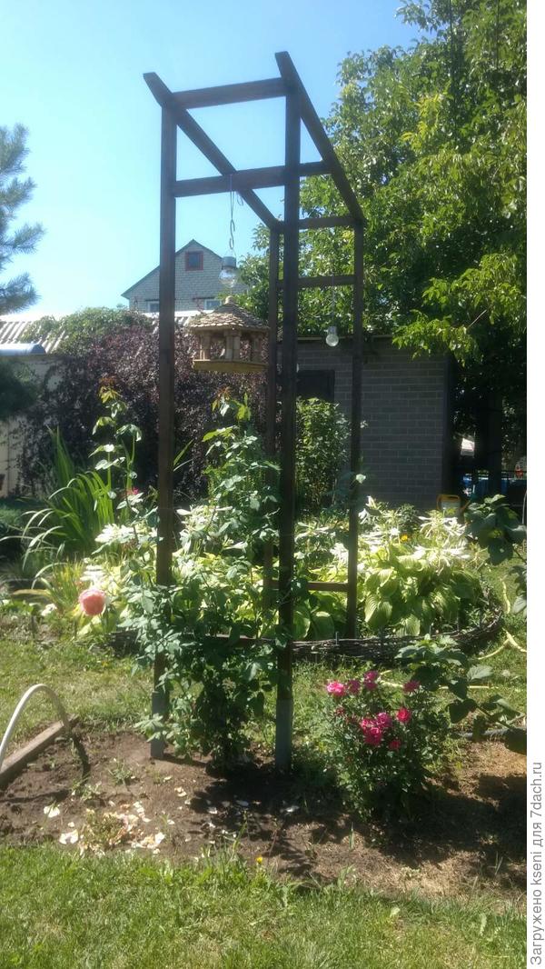 Арка для розы