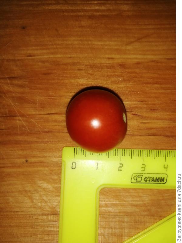 Размер томата