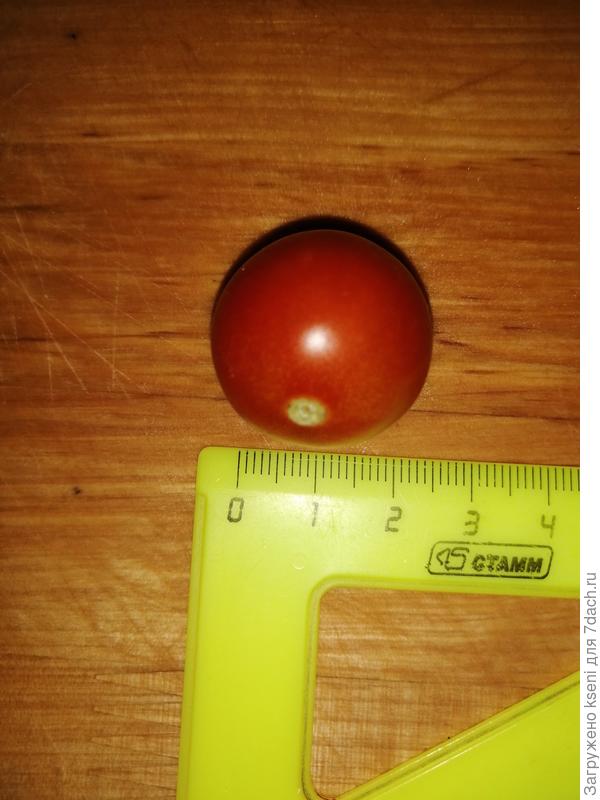 Размер томата