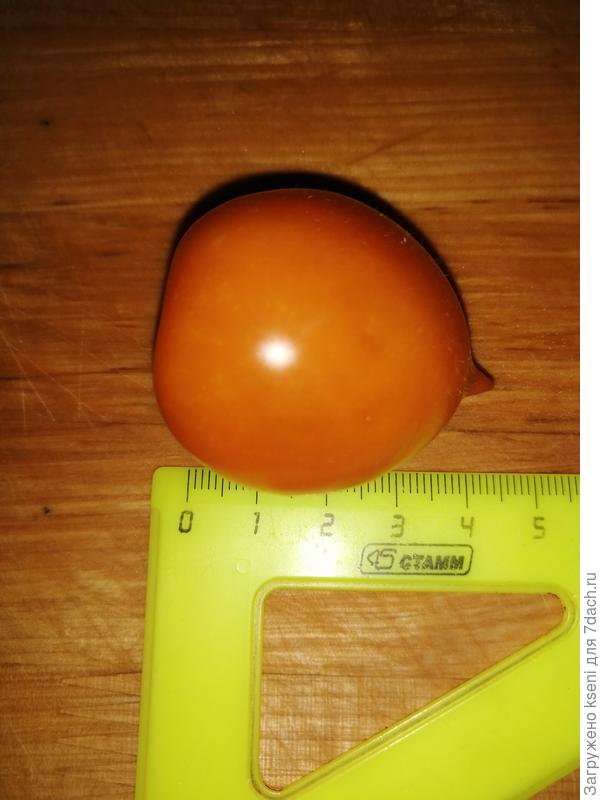 Размер томата