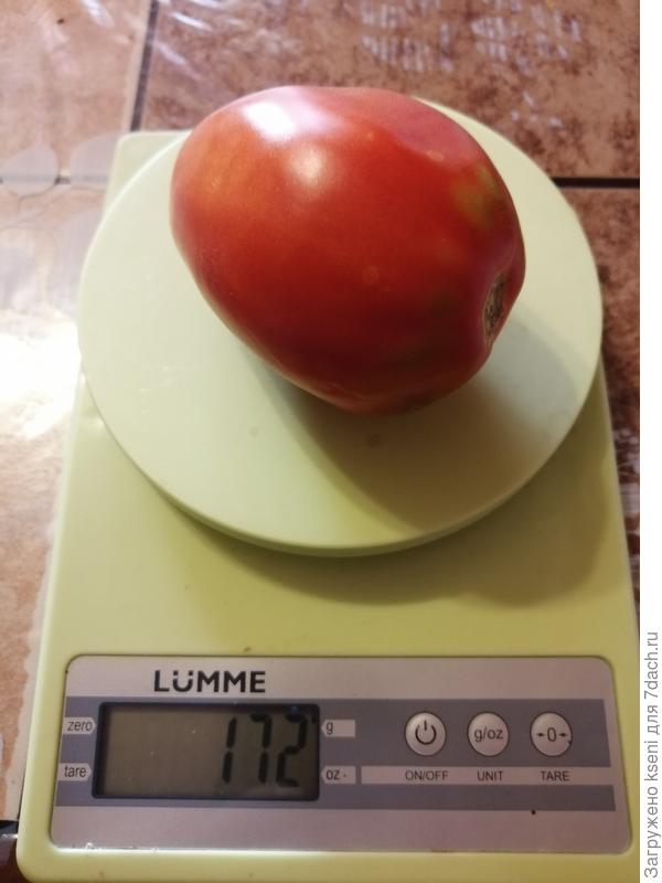 Масса одного плода