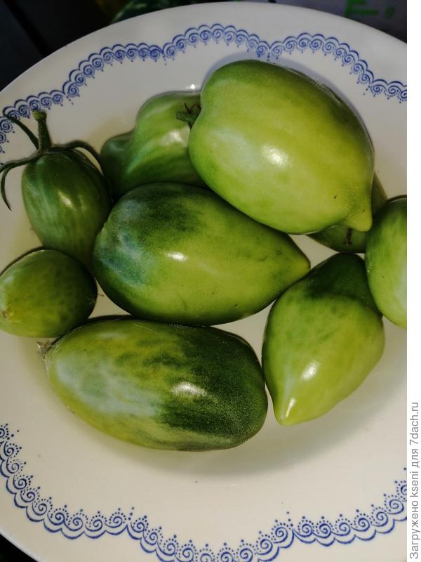 Последний урожай сезона 2021