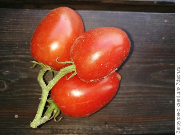 томат Де Барао царский