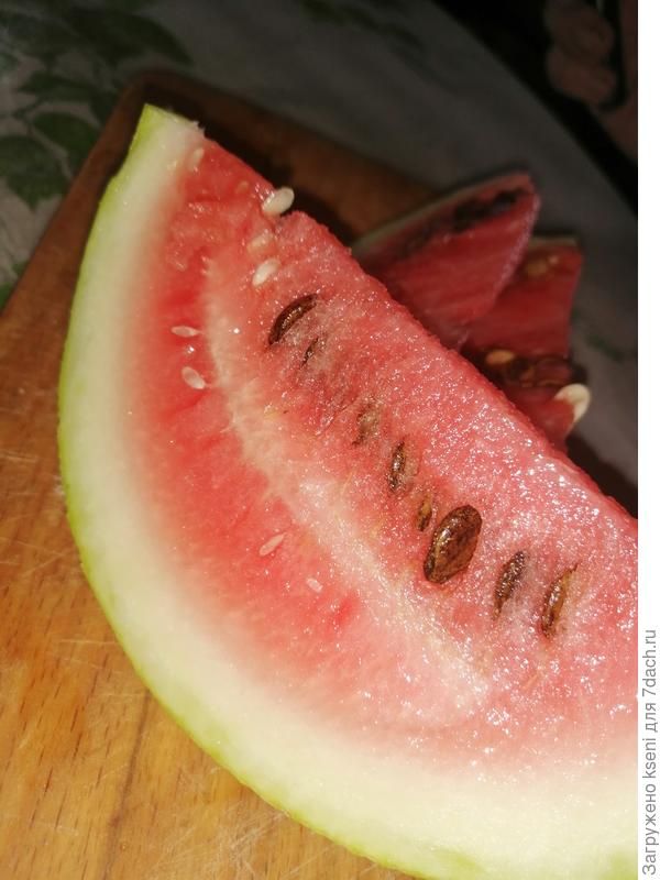 Вот такой вырос.