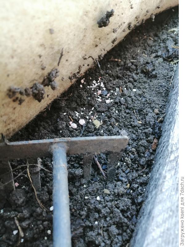 Заделываем удобрение в почву