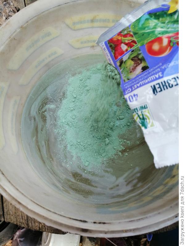 Разводим ХОМ для обработки роз