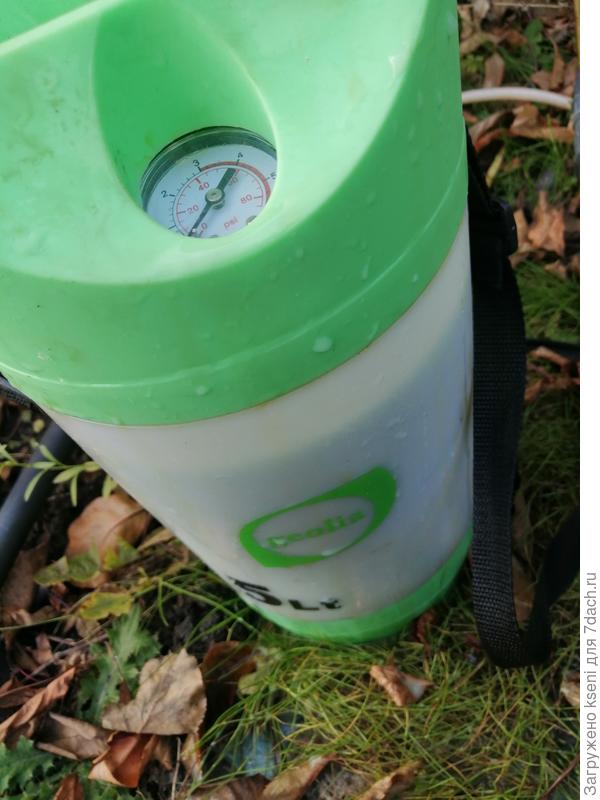 Обработка винограда