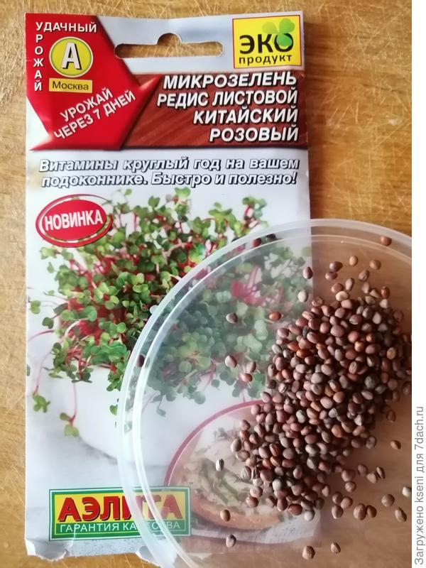 Микрозелень посев