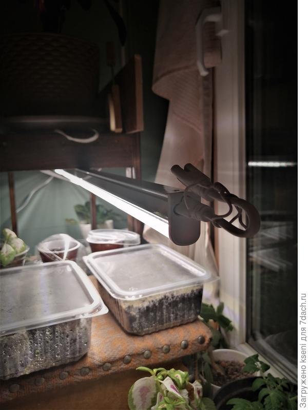 Установлен переходник для подключения еще одной лампы. Либо установка заглушки.