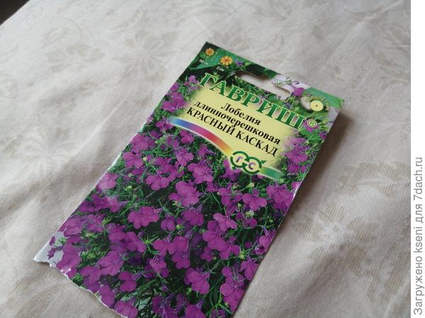 Лобелия красный каскад