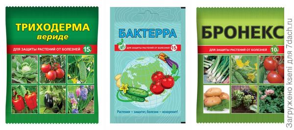 Препараты для защиты от болезней