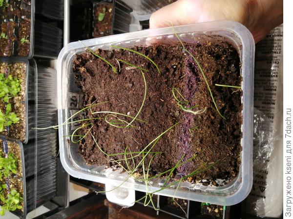 Ялтинский под номером 20.